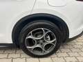 Alfa Romeo Stelvio 2.2 16V 160 AT8 Business Blanco - thumbnail 11