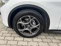Alfa Romeo Stelvio 2.2 16V 160 AT8 Business Blanco - thumbnail 10