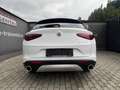 Alfa Romeo Stelvio 2.2 16V 160 AT8 Business Blanco - thumbnail 5