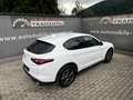 Alfa Romeo Stelvio 2.2 16V 160 AT8 Business Blanco - thumbnail 8