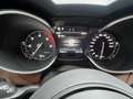 Alfa Romeo Stelvio 2.2 16V 160 AT8 Business Blanco - thumbnail 36