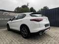 Alfa Romeo Stelvio 2.2 16V 160 AT8 Business Blanco - thumbnail 6