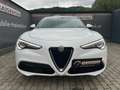 Alfa Romeo Stelvio 2.2 16V 160 AT8 Business Blanco - thumbnail 2