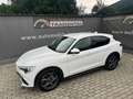 Alfa Romeo Stelvio 2.2 16V 160 AT8 Business Blanco - thumbnail 7