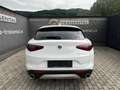 Alfa Romeo Stelvio 2.2 16V 160 AT8 Business Blanco - thumbnail 12