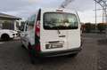 Renault Kangoo 1.5DCI Express Maxi/6-Gang/PDC/Start-Stop Blanc - thumbnail 12