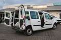 Renault Kangoo 1.5DCI Express Maxi/6-Gang/PDC/Start-Stop Blanc - thumbnail 4