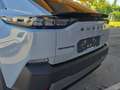 Subaru Sonstige Uncharted Hikari 77 kWh !Reichweite 560 Km.! Grau - thumbnail 18