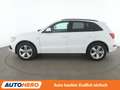 Audi Q5 2.0 TDI quattro Aut.*NAVI*XENON*TEMPO*PDC* Weiß - thumbnail 3