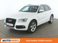 Audi Q5 2.0 TDI quattro Aut.*NAVI*XENON*TEMPO*PDC* Weiß - thumbnail 1