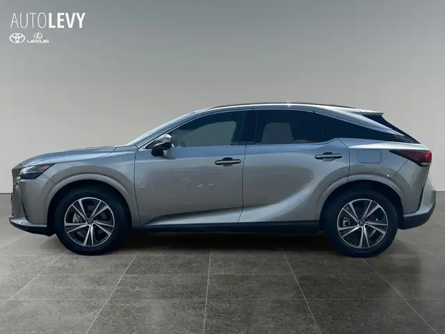 Lexus RX view 3