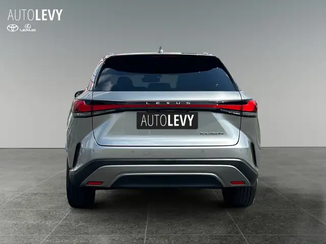 Lexus RX view 5