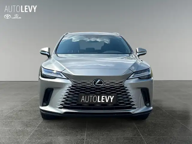 Lexus RX view 9