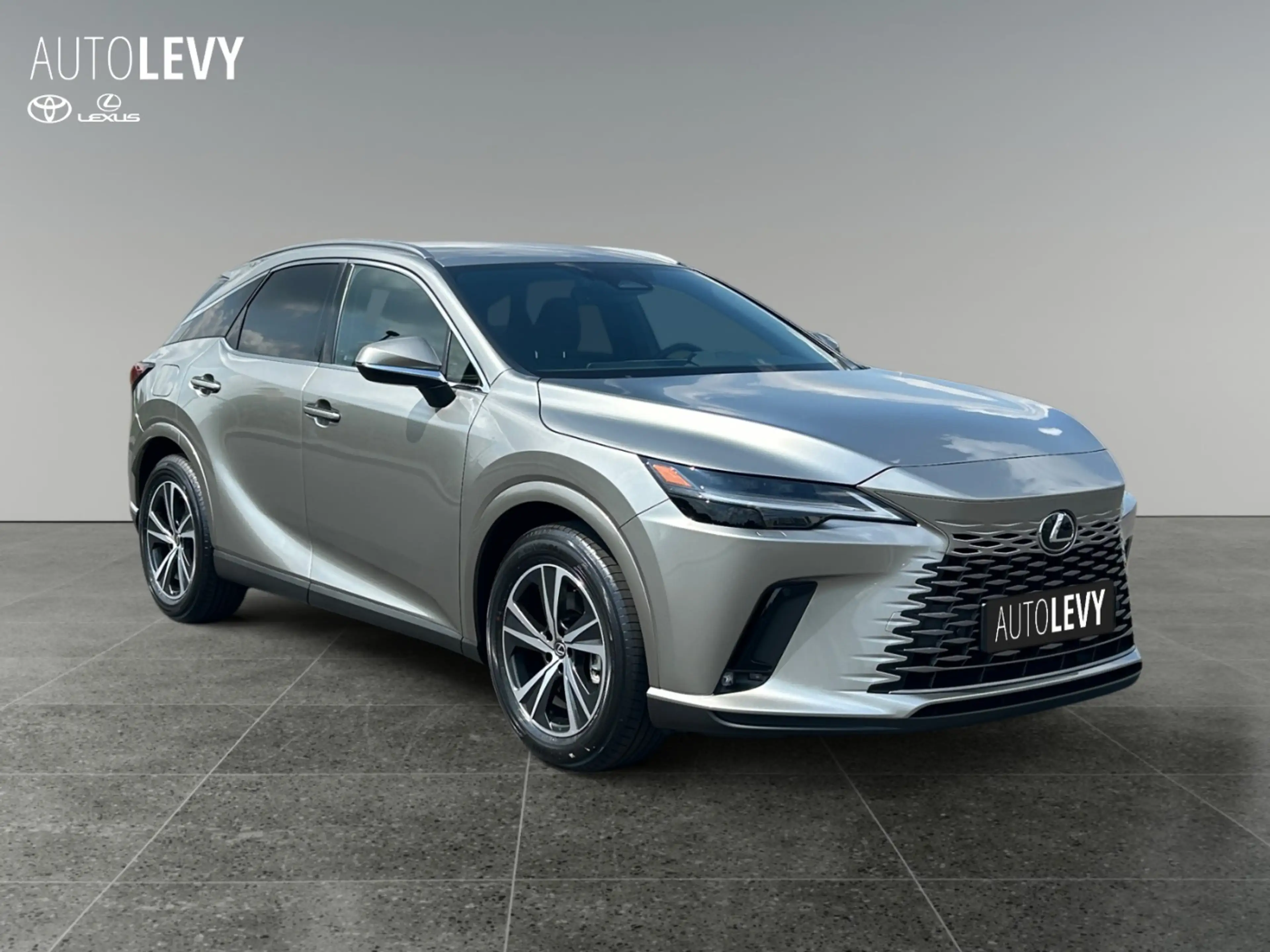Lexus RX 450h Plug-In Business *Vorlauf +div. Farben — photo 8