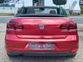 Volkswagen Golf VI Cabriolet  BMT  1. Hand Tüv - thumbnail 5