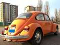 Volkswagen Maggiolino Maggiolone Oranje - thumbnail 8