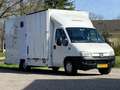 Peugeot Boxer 350 2.8 HDI, AIRCO, 145PK, PAARDENWAGEN Alb - thumbnail 2