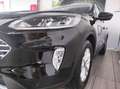 Ford Kuga (AUTOCARRO) 1.5 120 CV aut. 2WD TITANIUM BUS Nero - thumbnail 3