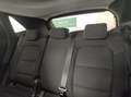 Ford Kuga (AUTOCARRO) 1.5 120 CV aut. 2WD TITANIUM BUS Nero - thumbnail 17