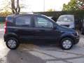 Fiat Panda 1.2 Benzina (( OK NEOPATENTATI )) Nero - thumbnail 5