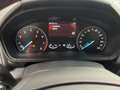 Ford EcoSport 1.0 EcoBoost 125 CV Start&Stop ST-Line Grigio - thumbnail 15