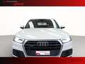 Audi Q5 40 2.0 tdi business design quattro 190cv s-tronic Blanc - thumbnail 4