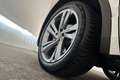 Volkswagen Tiguan 1.5 TSI 150pk DSG R-Line Business | Trekhaak, Adap Wit - thumbnail 12