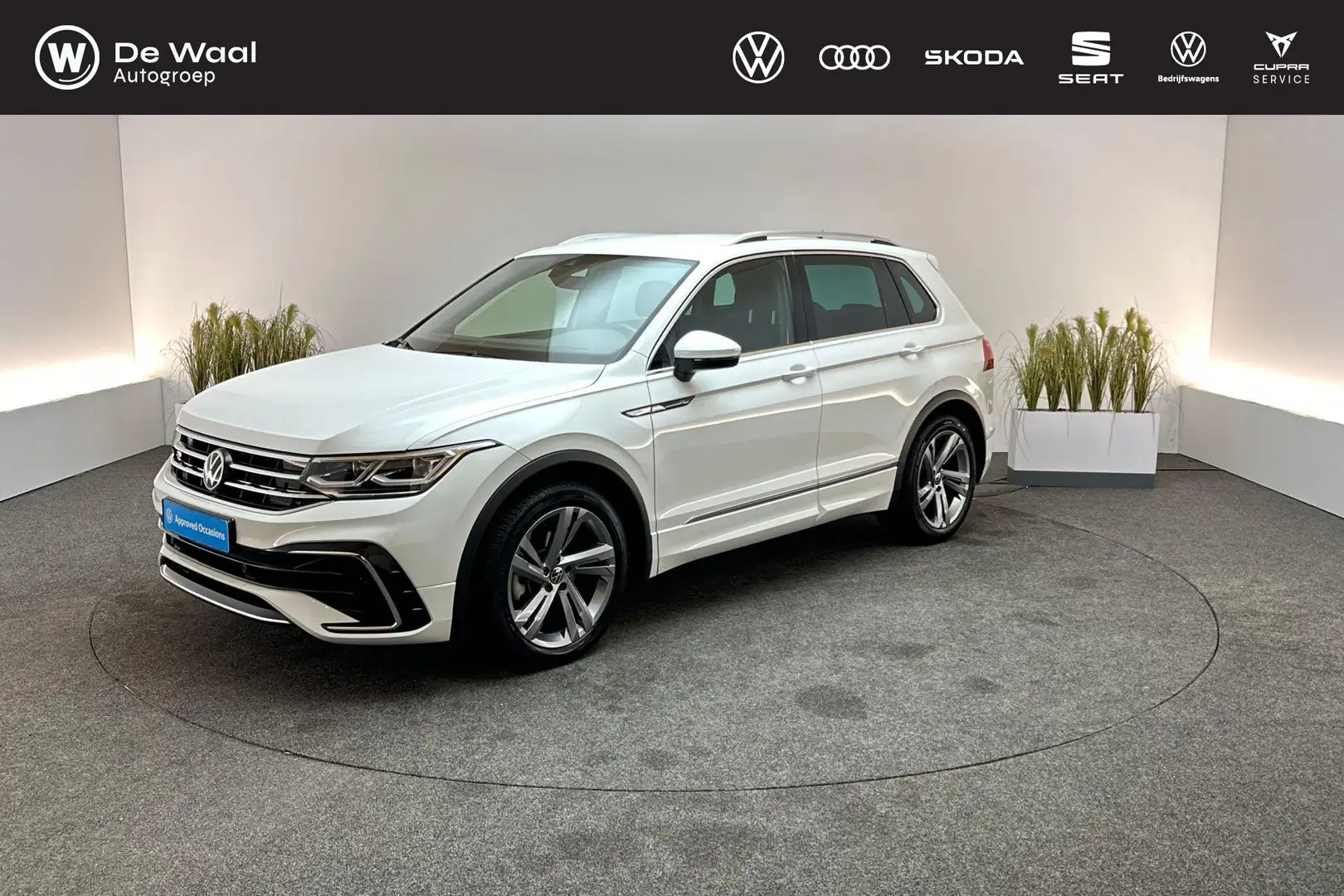 Volkswagen Tiguan 1.5 TSI 150pk DSG R-Line Business | Trekhaak, Adap Wit - 1