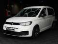 Volkswagen Caddy Life 2.0 TDI 90kW 122CV Blanco - thumbnail 2