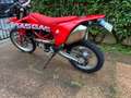 KTM 690 Enduro gasgas es700 Rood - thumbnail 4