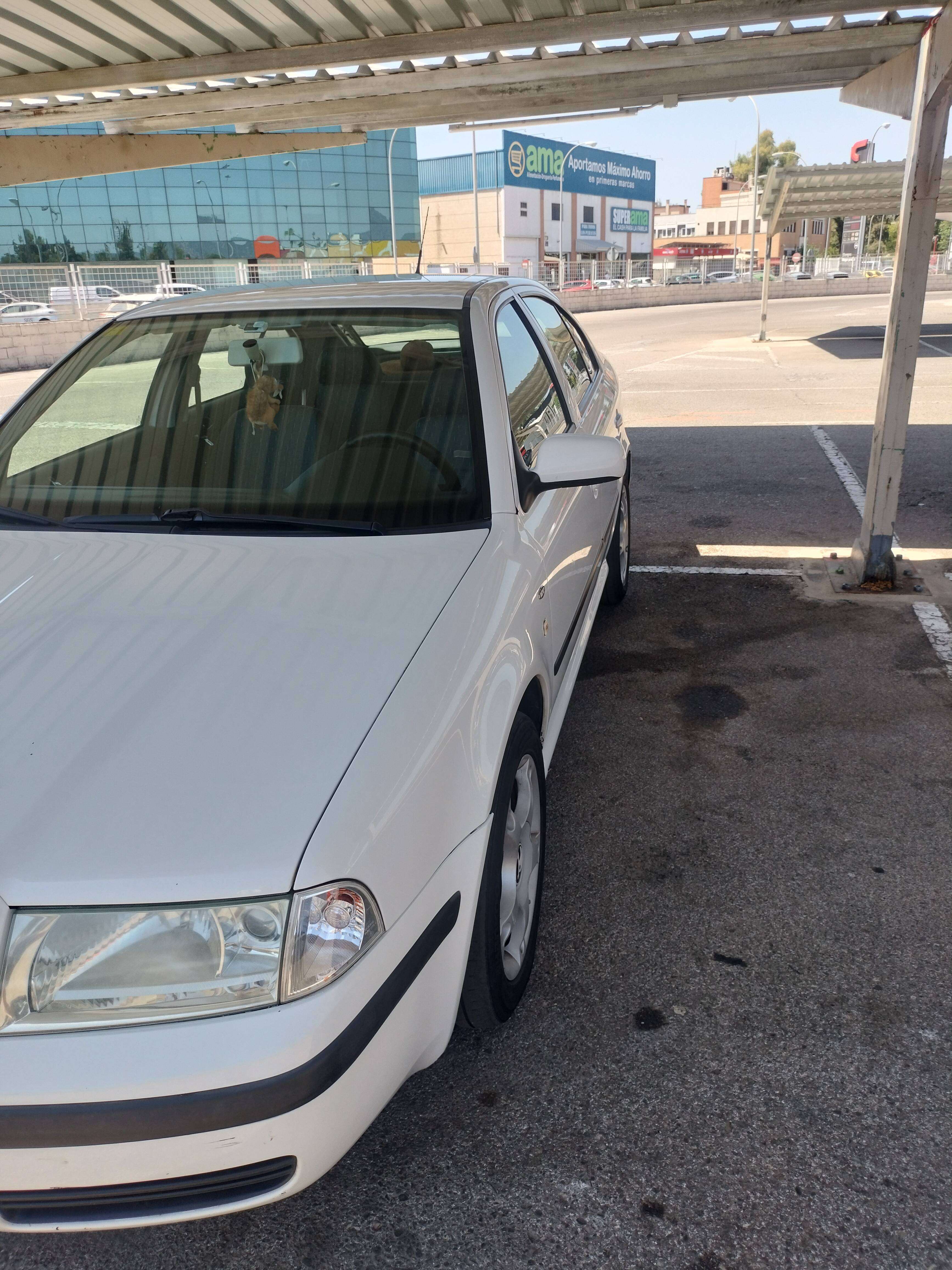 Skoda Octavia Octavia Combi 1.9TDI Ambiente Ambiente - foto 1