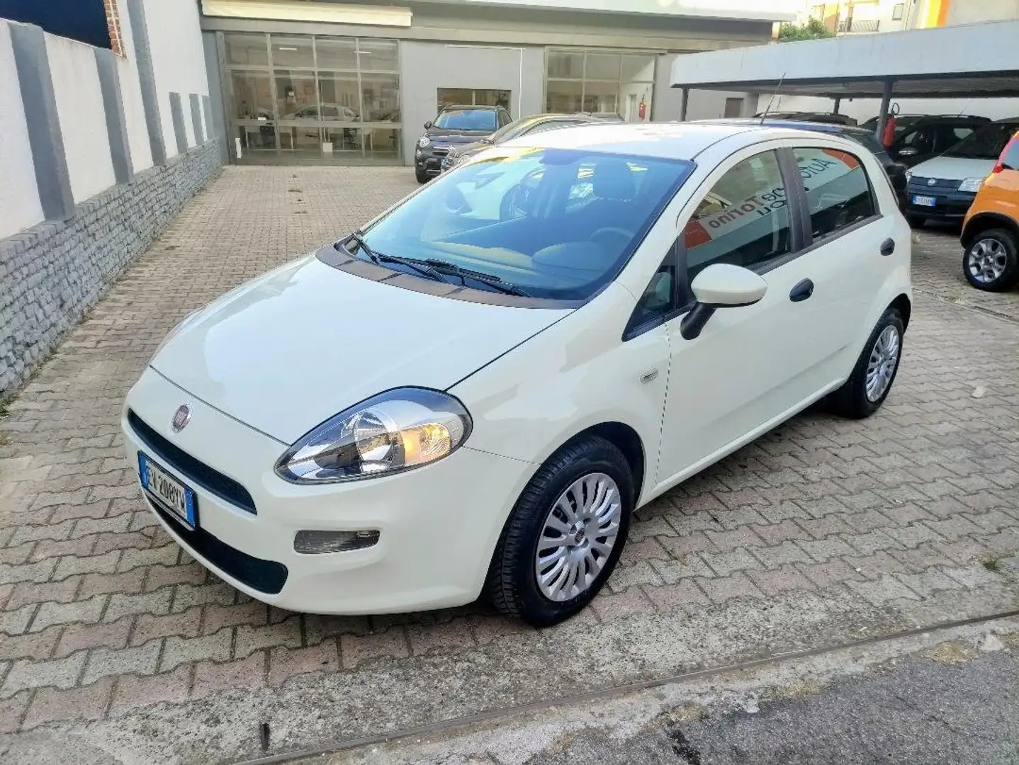 Fiat Punto Punto 1.3 mjt Street 75cv * NEOPATENTATI * Bianco - 2