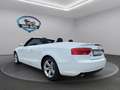 Audi A5 Cabriolet 1.8 TFSI S-LINE *TÜVNEU*XENON* Blanc - thumbnail 2