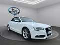 Audi A5 Cabriolet 1.8 TFSI S-LINE *TÜVNEU*XENON* Weiß - thumbnail 5