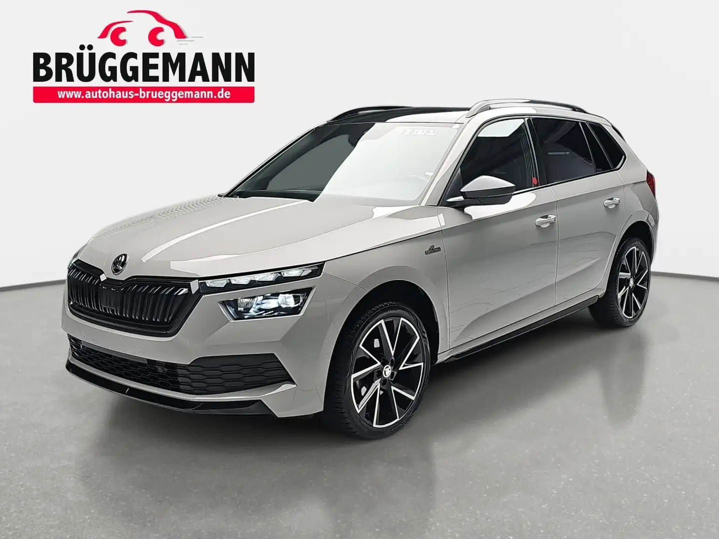 Skoda Kamiq KAMIQ 1.5 TSI DSG MONTE CARLO NAVI LED ACC PANO W Grau - 1