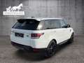 Land Rover Range Rover Sport 2,0 SD4 S *Neuer Motor / Turbo / Kurbelwelle* Weiß - thumbnail 4