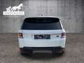 Land Rover Range Rover Sport 2,0 SD4 S *Neuer Motor / Turbo / Kurbelwelle* Weiß - thumbnail 5