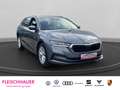 Skoda Octavia Combi Style Style LaneAss BlindSpot VC Business Co Grau - thumbnail 9