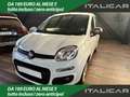 Fiat Panda Panda 1.2 Lounge 69cv Bianco - thumbnail 1