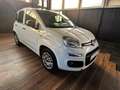 Fiat Panda Panda 1.2 Lounge 69cv Bianco - thumbnail 13
