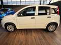 Fiat Panda Panda 1.2 Lounge 69cv Bianco - thumbnail 7