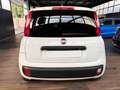 Fiat Panda Panda 1.2 Lounge 69cv Bianco - thumbnail 12