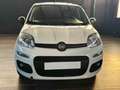 Fiat Panda Panda 1.2 Lounge 69cv Bianco - thumbnail 6