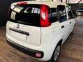 Fiat Panda Panda 1.2 Lounge 69cv Bianco - thumbnail 3