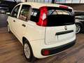 Fiat Panda Panda 1.2 Lounge 69cv Bianco - thumbnail 4