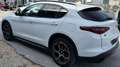 Alfa Romeo Stelvio Stelvio 2.2 Turbodiesel 210 CV AT8 Q4 Super Bianco - thumbnail 5