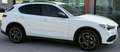 Alfa Romeo Stelvio Stelvio 2.2 Turbodiesel 210 CV AT8 Q4 Super Bianco - thumbnail 14