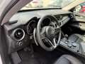 Alfa Romeo Stelvio Stelvio 2.2 Turbodiesel 210 CV AT8 Q4 Super Bianco - thumbnail 13