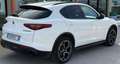 Alfa Romeo Stelvio Stelvio 2.2 Turbodiesel 210 CV AT8 Q4 Super Bianco - thumbnail 15