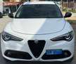 Alfa Romeo Stelvio Stelvio 2.2 Turbodiesel 210 CV AT8 Q4 Super Bianco - thumbnail 2